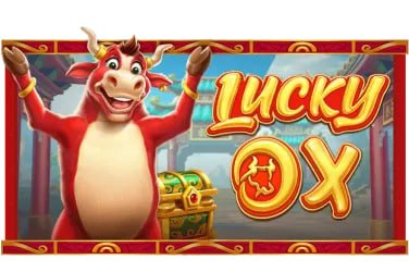 5555bet app