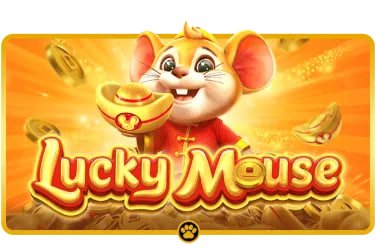 5555bet app